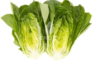 Салат Рубелло на белом фоне - Рабелло