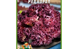 Пакет семян салата Ред Корал с изображением темно-красного листа