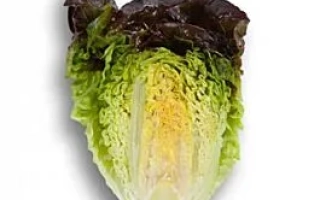 Салат Розайн на белом фоне