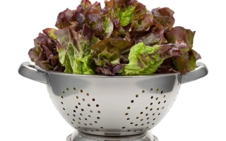 Салат в металлическом дуршлаге - Розмари