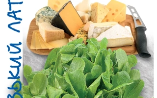 Пакет семян салата Шартрез с изображением листьев и сыра