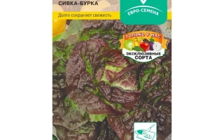 Сивка-Бурка