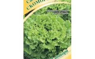Пакет семян салата СКОМОРОХ
