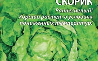 Пакет семян салата СКОРИК с изображением кочана