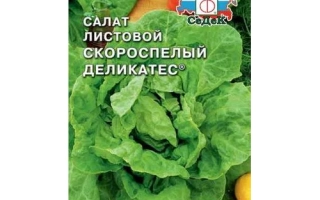 Пакет семян салата Скоропелый Деликатес - СКОРОСПЕЛЫЙ ДЕЛИКАТЕС