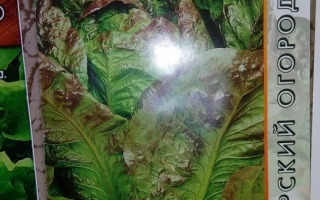 Пакет семян салата Станислав с изображением листьев и овощей