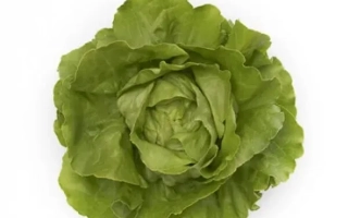 Свежий зеленый салат Томбело на белом фоне