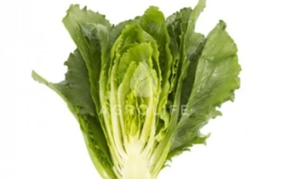 Салат Веродита на белом фоне