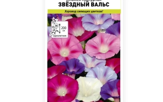 Школьный Вальс