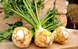 Свежий сельдерей с зеленью на каменной поверхности - Яблочный