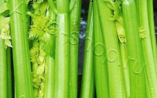 Пакет семян сельдерея Атлант