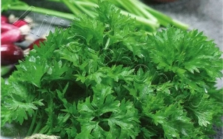 Пакет семян сельдерея Ажур с изображением зелени