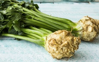 Свежий сельдерей с зелеными стеблями на светлом фоне - ГАМАЮН