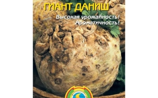 Семена сельдерея корневого ГИАНТ ДАНИШ на упаковке