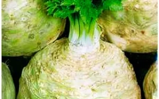 Пакет семян сельдерея корневой Иван-Царевич