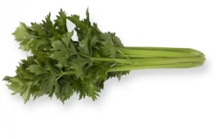 Свежий сельдерей на белом фоне - Килиан