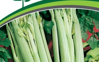 Пакет семян сельдерея черешкового Малахит