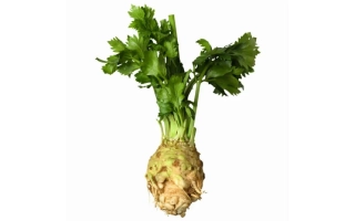 Сельдерей на белом фоне - РЕЗНОЙ