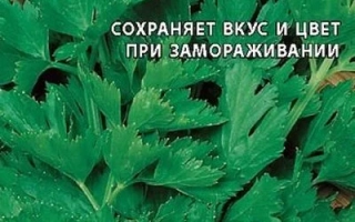 Пакет семян сельдерея листовой СЕНЕЖ