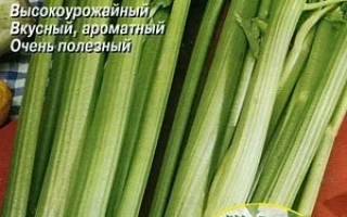 Пакет семян сельдерея листового и черешкового ЮТА