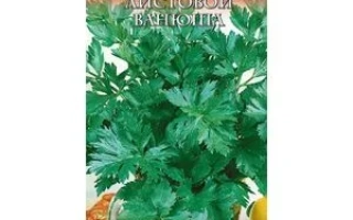 Пакет семян сельдерея листового Ванюша