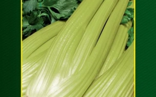 Пакет семян сельдерея черешкового сорта ЗОЛОТОЙ