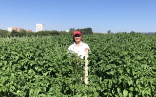 Сибирский Изумруд