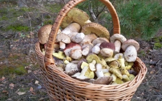 Трипл ИКС ЕС