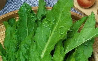 Пакет семян щавеля Чемпион