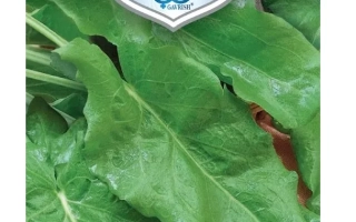 Пакет семян щавеля Крепыш с изображением листьев