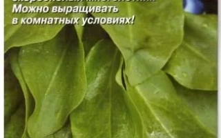 Пакет семян щавеля с названием ЩИ-БОРЩИ и изображением листьев