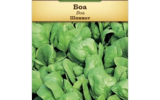 Пакет семян шпината сорта Boa