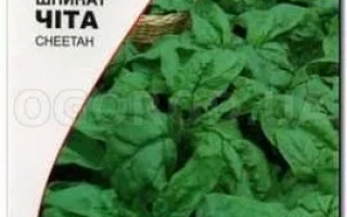 Пакет семян шпината Cheetah (Гепард) с изображением листьев