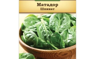 Пакет семян шпината Матадор - Matador