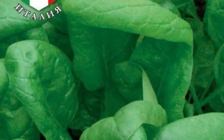 Пакет семян шпината ПОВЕР F1