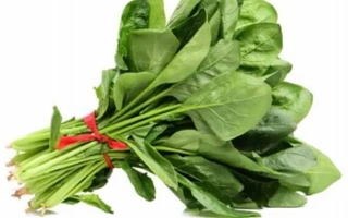 Свежий шпинат в пучке на белом фоне - PV-1026