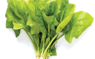 Свежий шпинат в пучке - Silverwhale