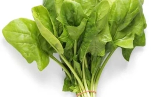 Свежий шпинат в пучке - СПЕЙС