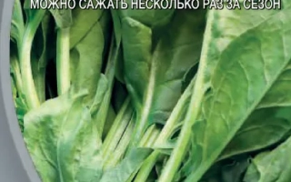 Пакет семян шпината Старк