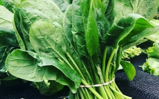 Свежий шпинат в пучке на темном фоне - Trombone