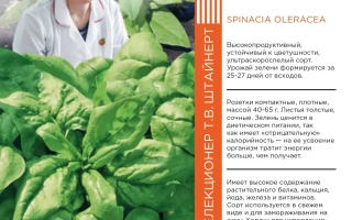 Пакет семян шпината ЗДОРОВЯК