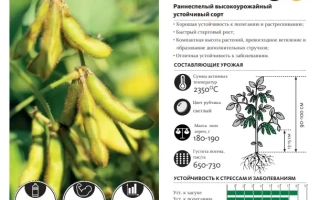 Пакет семян сорта АБАКА с изображением желтых цветов и растения