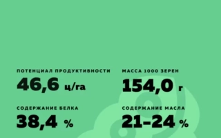Пакет семян сои Адесса с характеристиками сорта