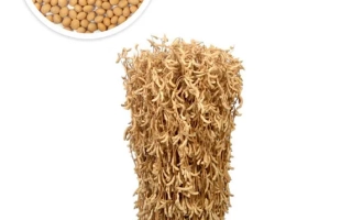 Соя БИЛЯВКА в упаковке с изображением зерен и стеблей