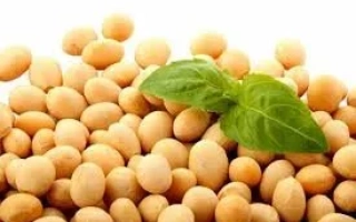 Чернивецкая 9