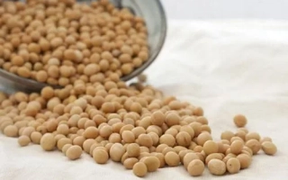 Соя из прозрачного контейнера на белой ткани - Фортуна