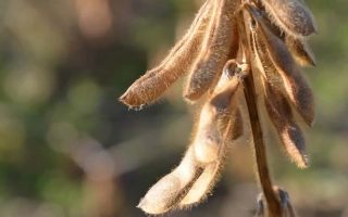 ЛИД Конструктор