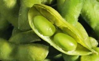 Зеленые соевые бобы в стручках - Мальвина