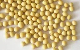 Соя в виде желтых зерен на белом фоне - ОРЕССА