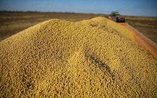 ПРИМОРСКАЯ 81